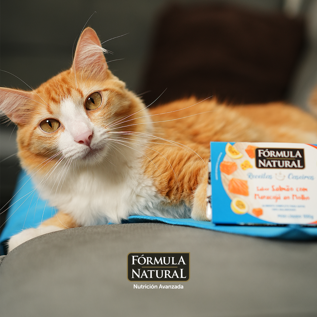 Formula Natural - Gatos Adultos