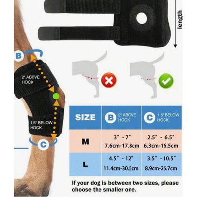 4Pets - Perros - Rodillera Protectora
