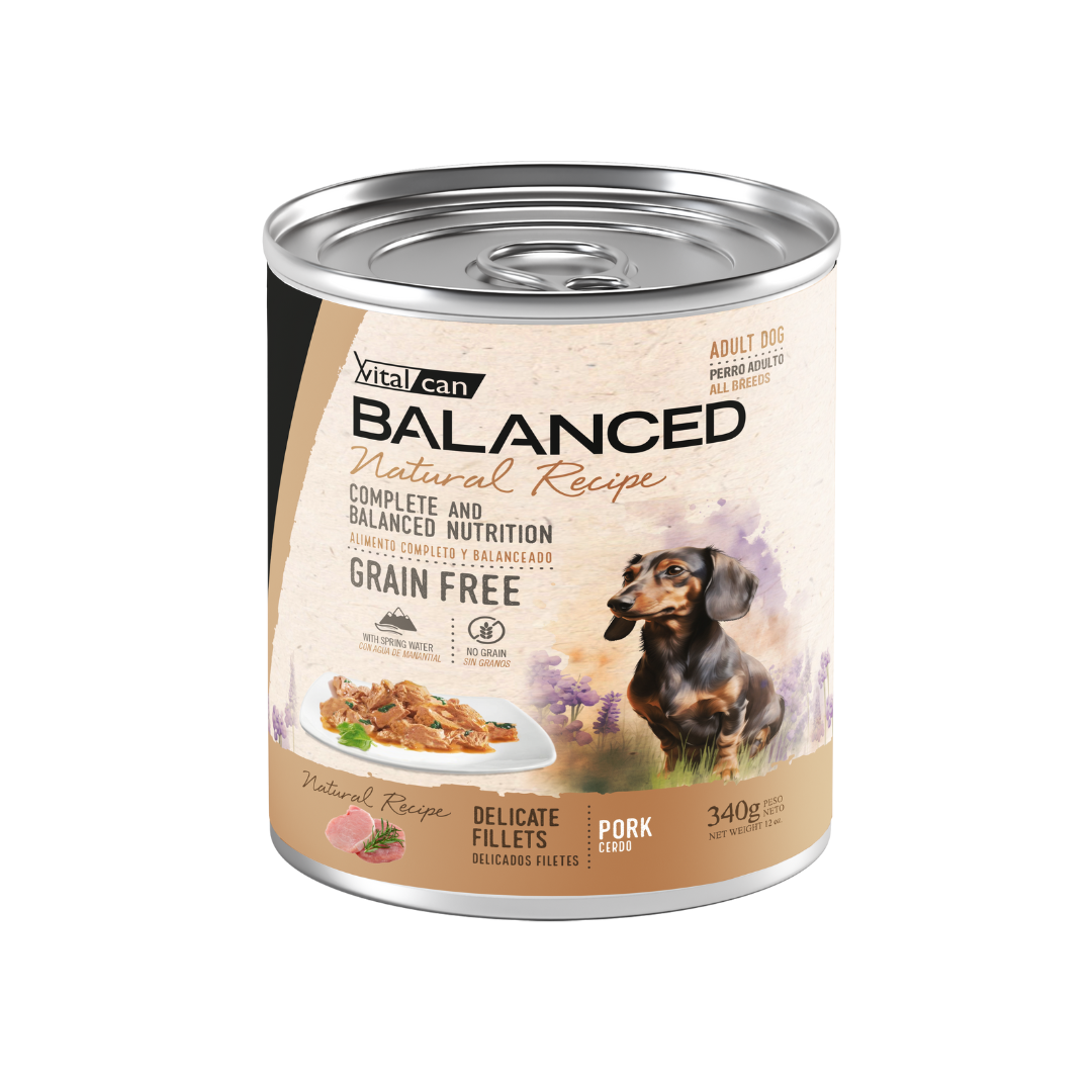 Vitalcan Wet - Perros - Natural Recipe Filetes Adultos - Cerdo - Lata