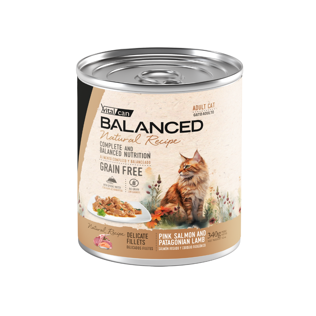 Vitalcan Wet - Gatos - Natural Recipe Filetes Adulto - Salmón y Cordero - Lata