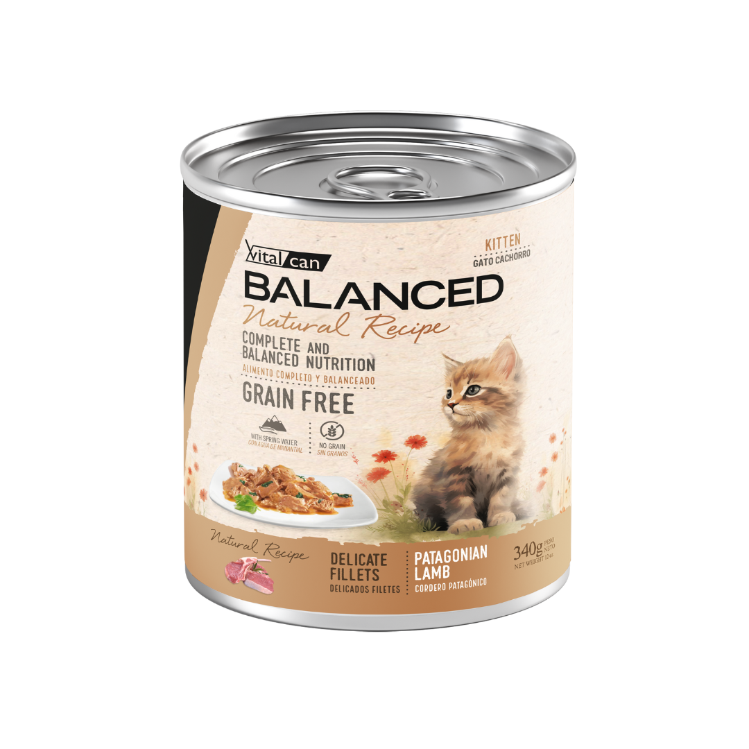 Vitalcan Wet - Gatitos - Natural Recipe Filetes - Cordero - Lata