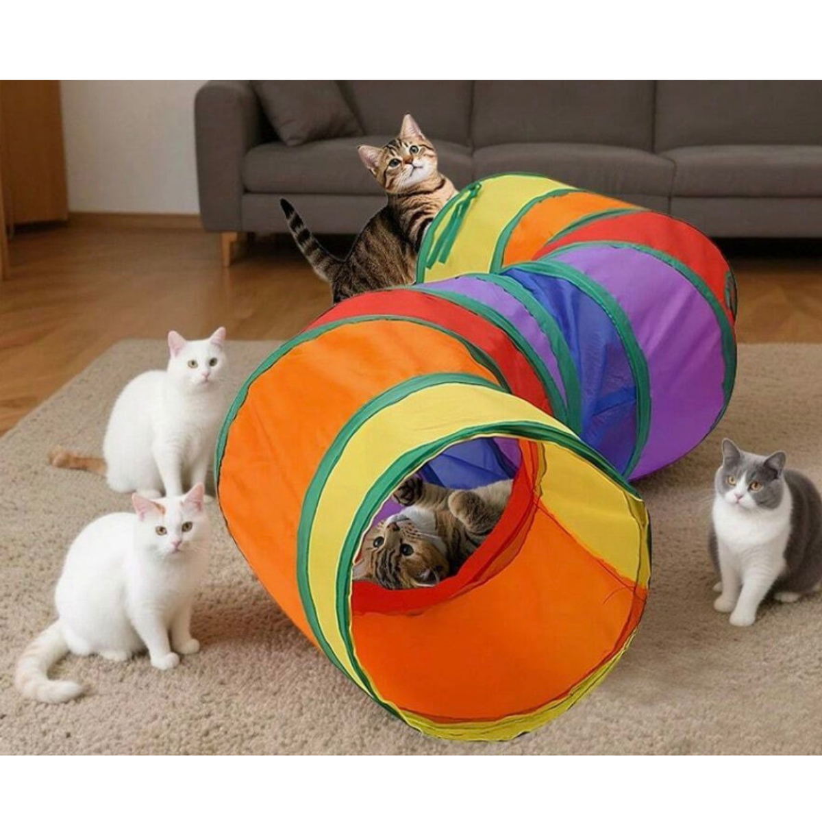 4Pets - Gatos - Túnel Interactivo - Arcoiris