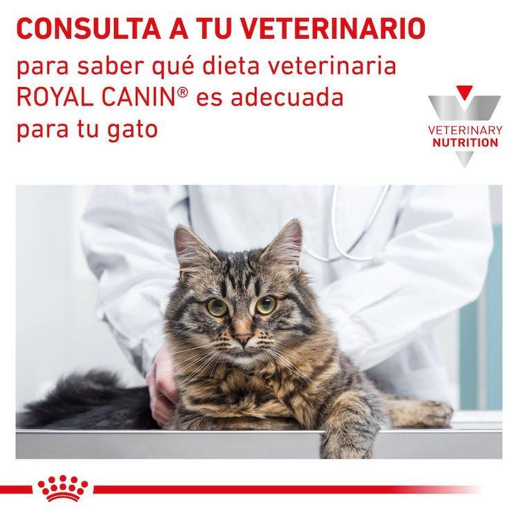Royal Canin - Gatos Adultos - Gastrointestinal
