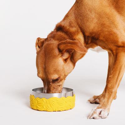 Zeedog - Farm - Tuff Bowl - Bossa Banana