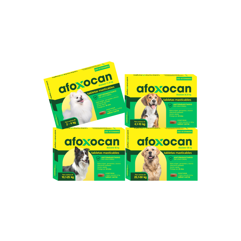 Galmedic - Afoxocan (Afoxopet) - 1 Comprimido
