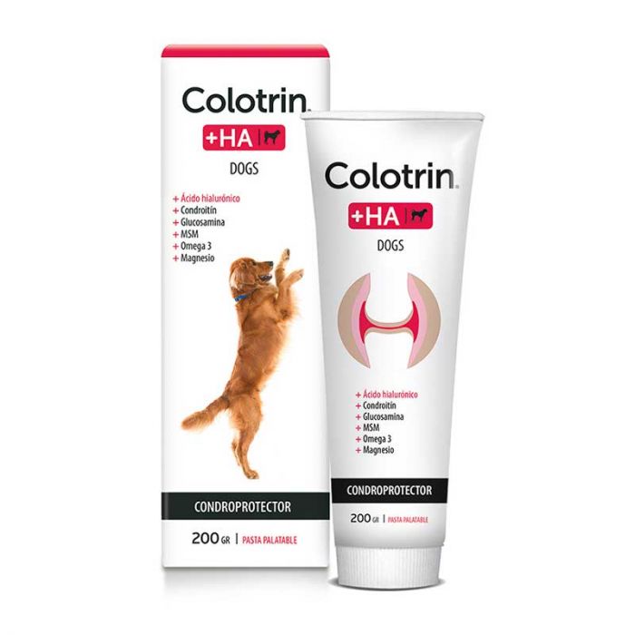 John Martin - Perros Colotrin + Ha