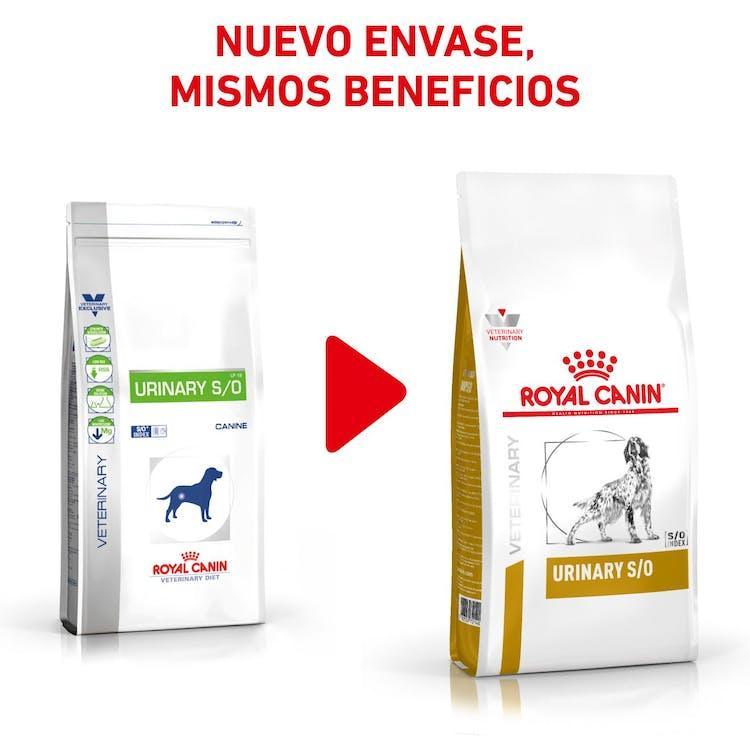 Royal Canin - Perros Adultos - Cuidado Urinario S/O