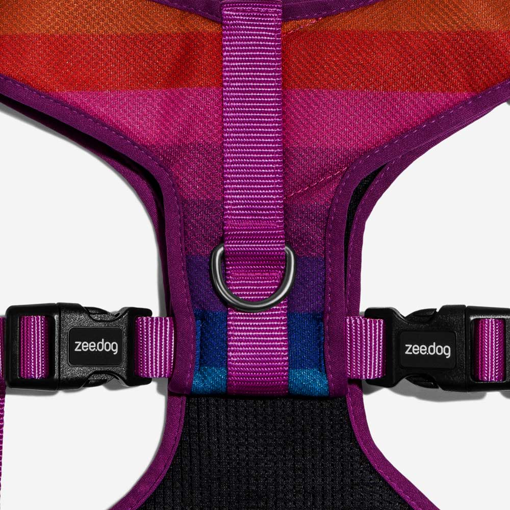 Zeedog - Perros Pechera Airmesh - Prisma