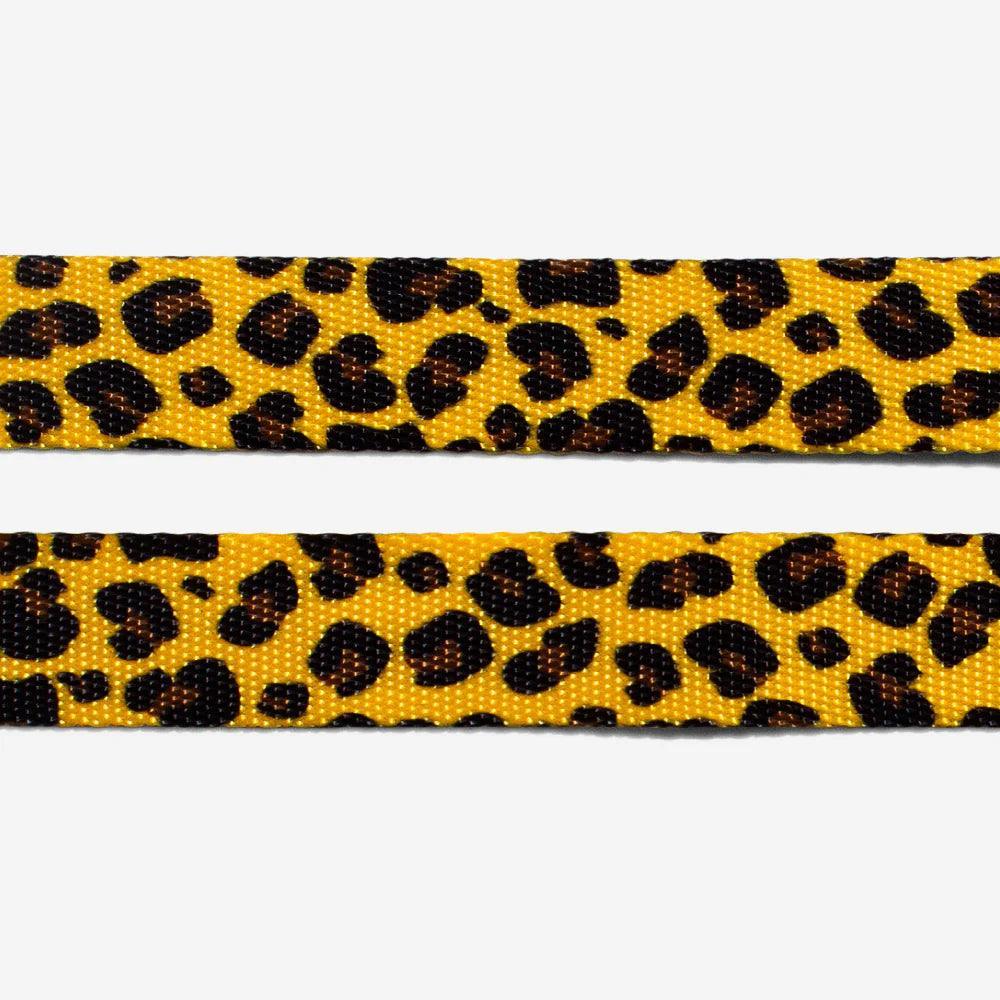 Zeedog - Perros Collar - Honey