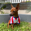 Wanchan - Remera De Seleccion Paraguay - Albirroja