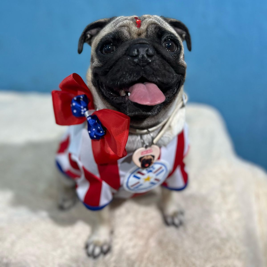 Wanchan - Remera De Seleccion Paraguay - Albirroja