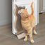 Kong - Gatos Connects Kitty Comber