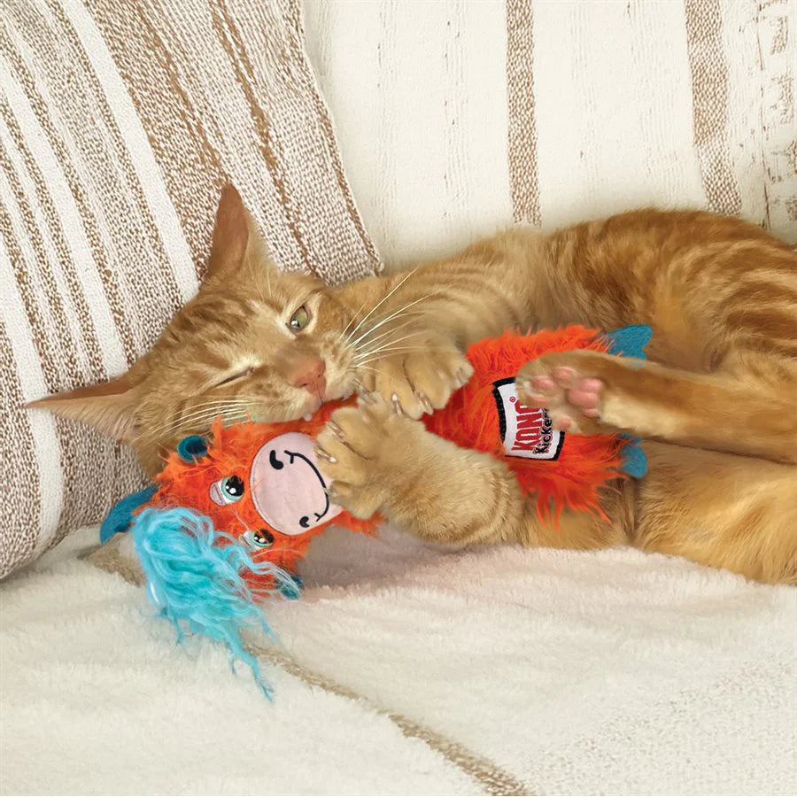Kong - Gatos Kickeroo Highland Cow