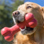 Kong - Perros Goodie Bone