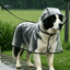 4Pets - Perros - Poncho De Lluvia Impermeable