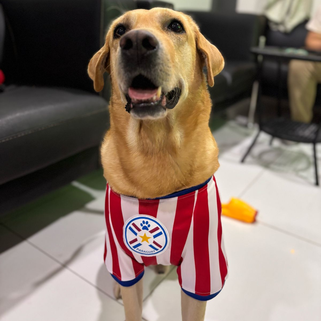 Wanchan - Remera De Seleccion Paraguay - Albirroja