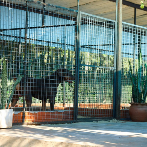 1870 Hotel Canino - Transporte