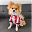 Wanchan - Remera De Seleccion Paraguay - Albirroja