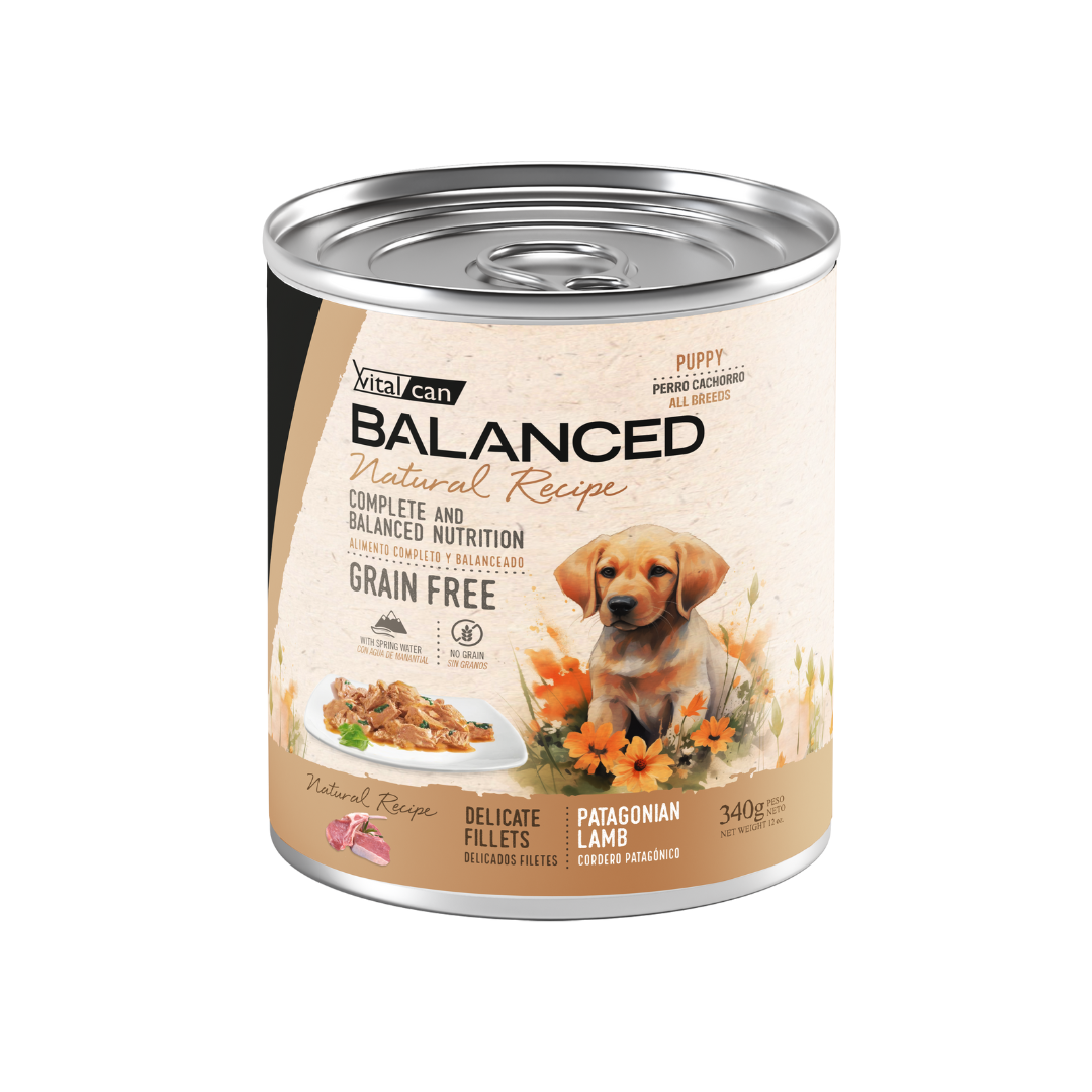 Vitalcan Wet - Perros - Natural Recipe Filetes Cachorros - Cordero - Lata
