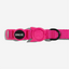 Zeecat - Gatos Collar - Rosa Led