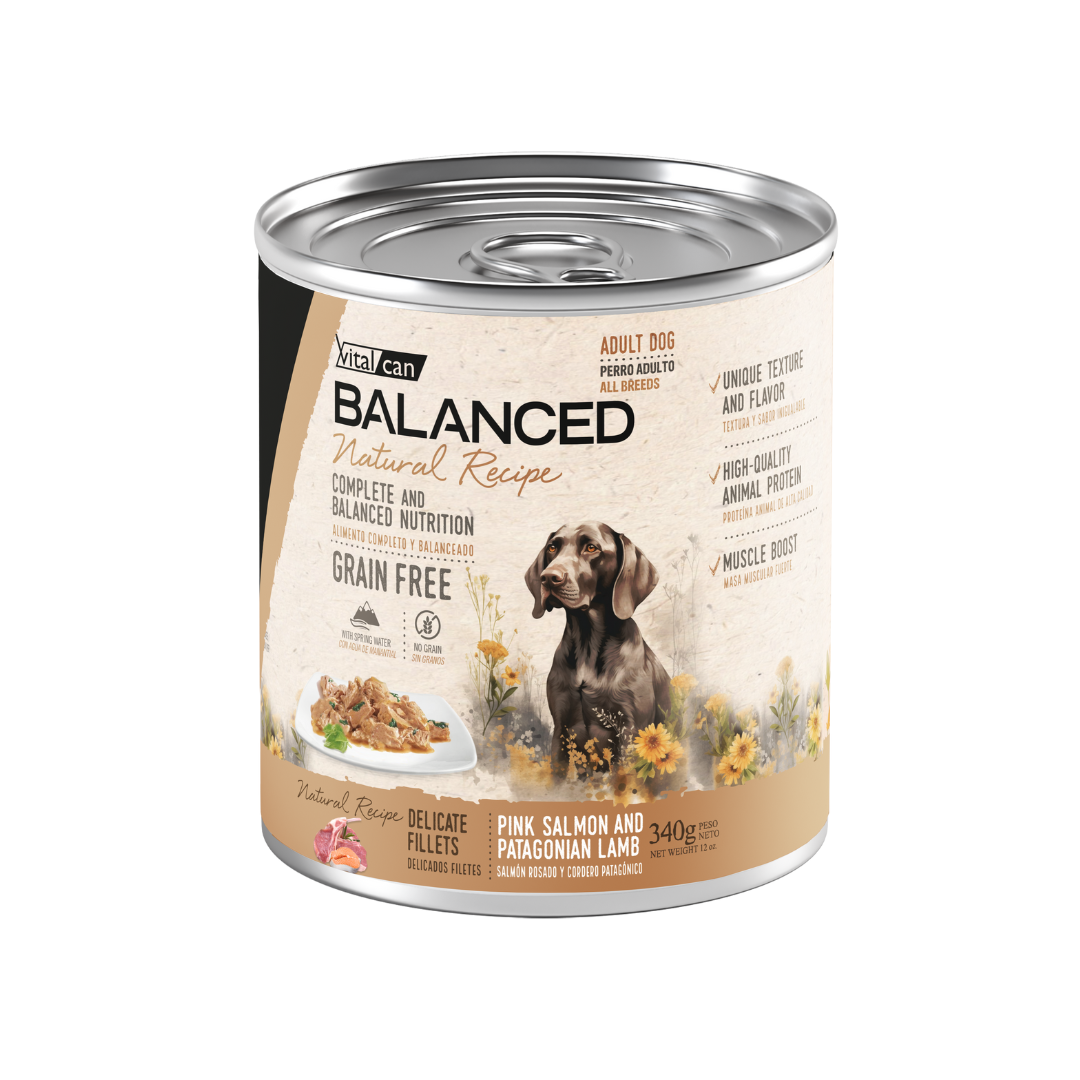 Vitalcan Wet - Perros - Natural Recipe Filetes Adultos - Salmón y Cordero - Lata