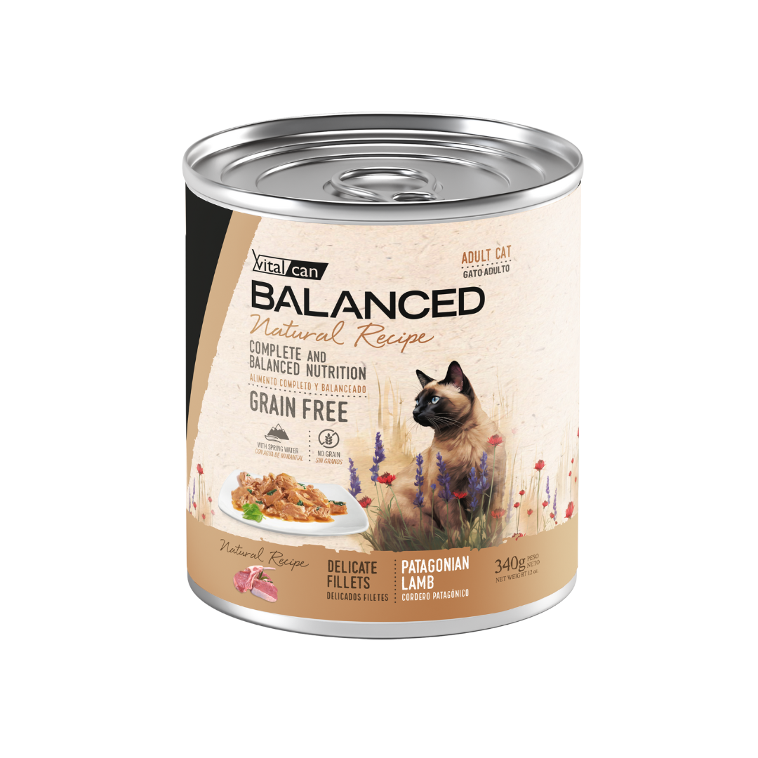 Vitalcan Wet - Gatos - Natural Recipe Filetes Adulto - Cordero - Lata