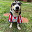 Wanchan - Remera De Seleccion Paraguay - Albirroja