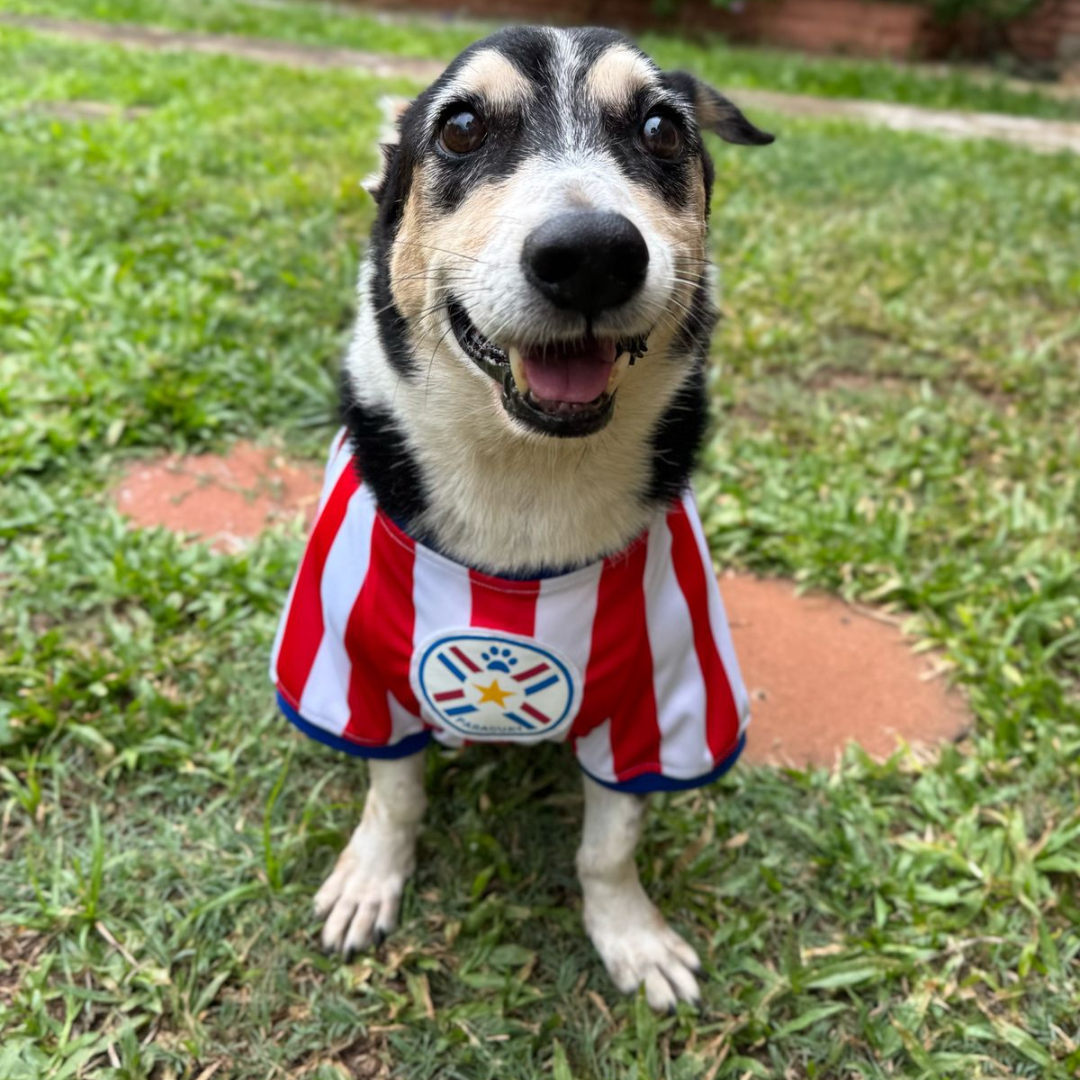 Wanchan - Remera De Seleccion Paraguay - Albirroja
