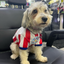 Wanchan - Remera De Seleccion Paraguay - Albirroja