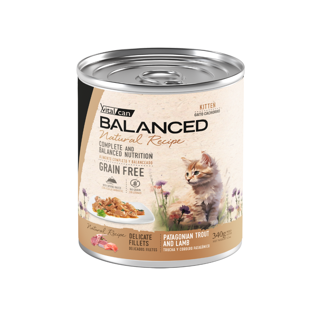 Vitalcan Wet - Gatitos - Natural Recipe Filetes - Trucha y Cordero - Lata