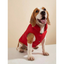 4Pets - Perros - Ropa Invernal Térmica - Rojo