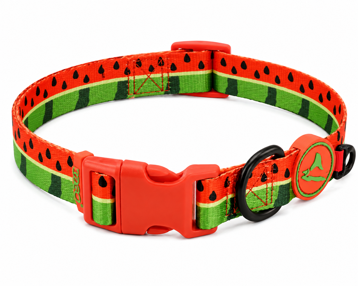 Doco - Perros - Collar - Sandia