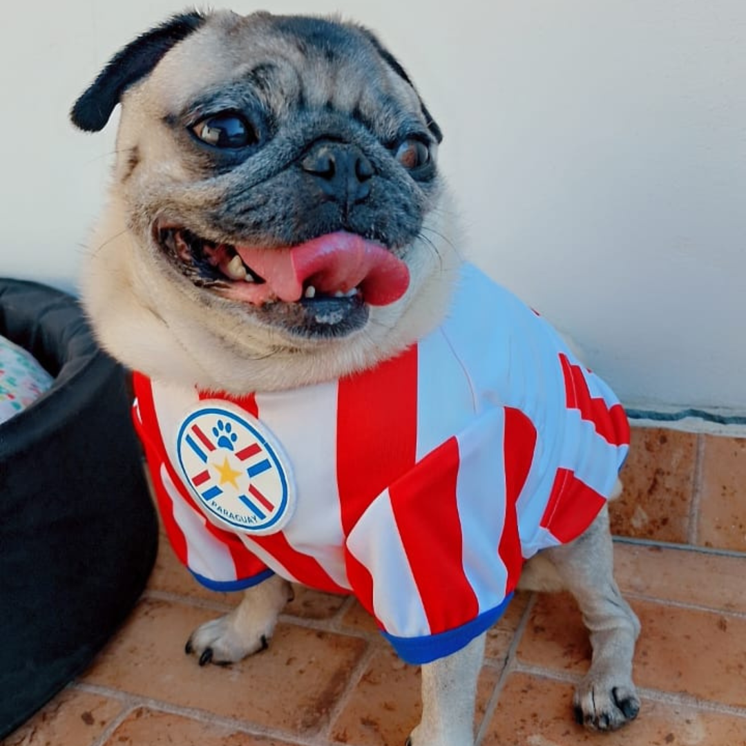 Wanchan - Remera De Seleccion Paraguay - Albirroja