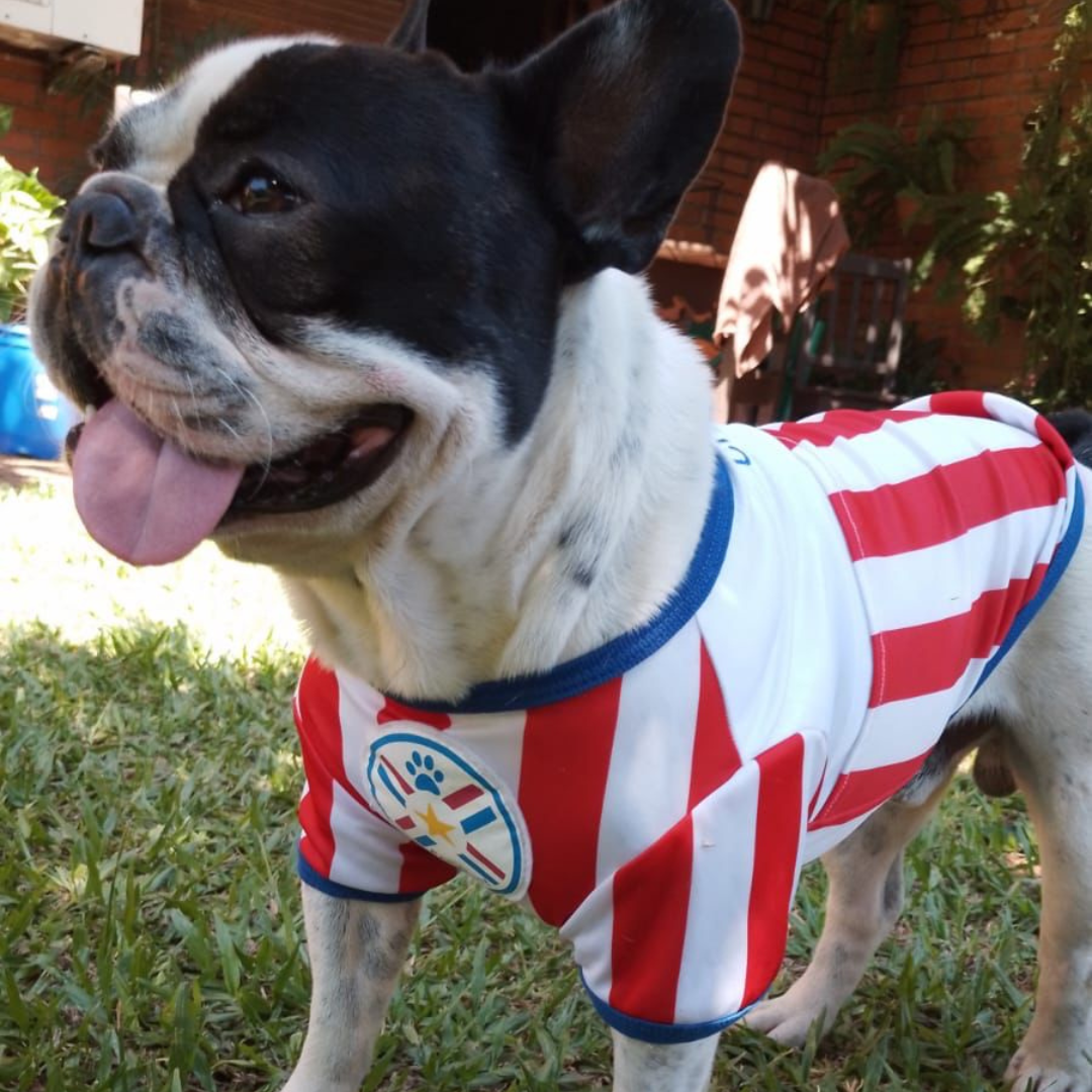 Wanchan - Remera De Seleccion Paraguay - Albirroja