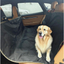 4Pets - Cobertor Impermeable De Asientos Traseros - Negro