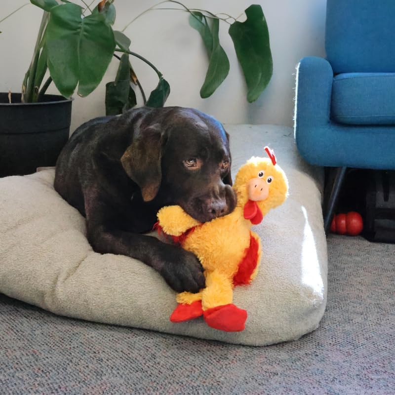 Kong - Perros Knots Pollo