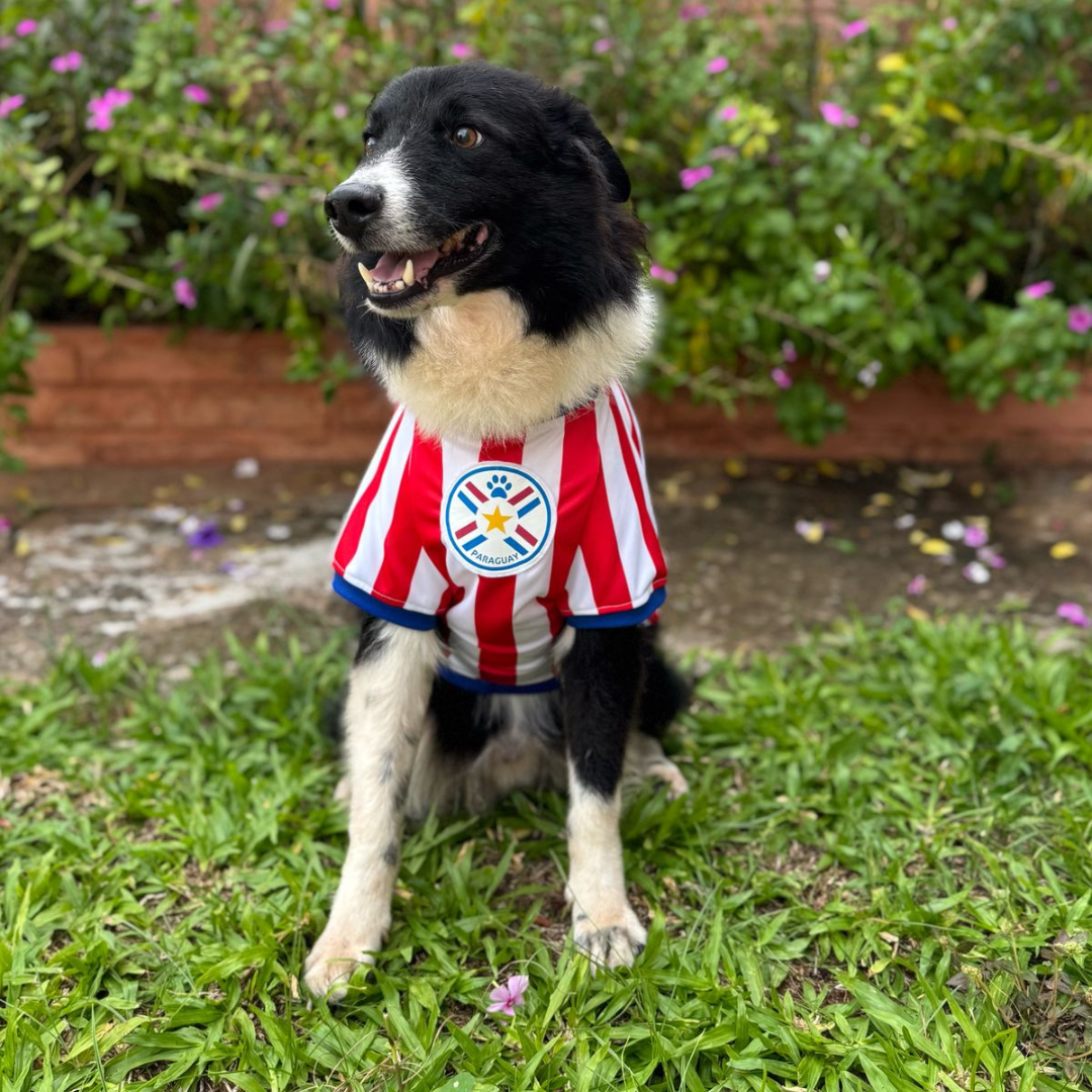 Wanchan - Remera De Seleccion Paraguay - Albirroja
