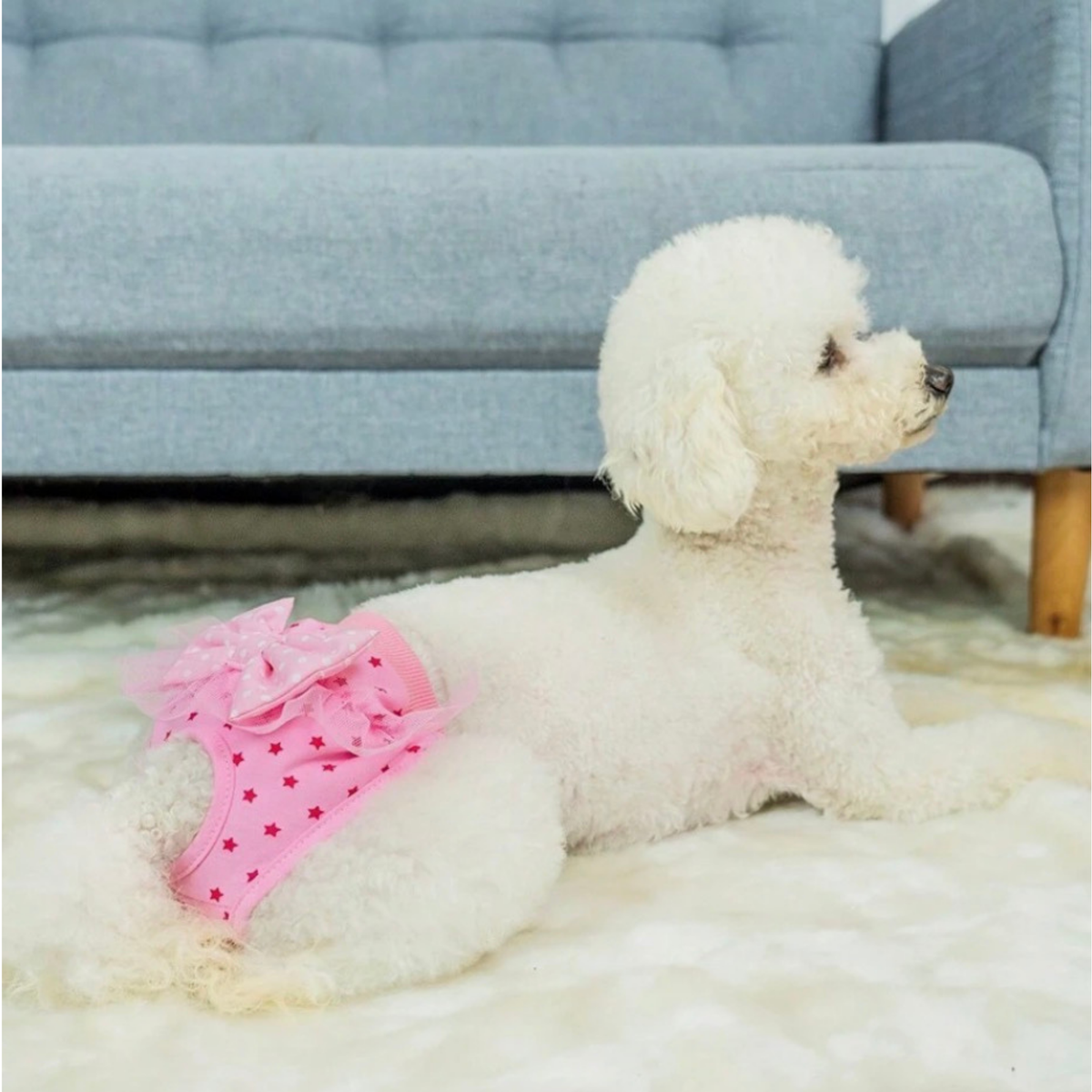 4Pets - Perros - Calzón Sanitario Reutilizable