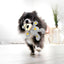 Kong - Perros Juguete Wild Knots Bear Gris