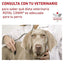 Royal Canin - Perros Adultos - Hipoalergénico - Lata