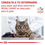 Royal Canin - Gatos Adultos - Cuidado Renal