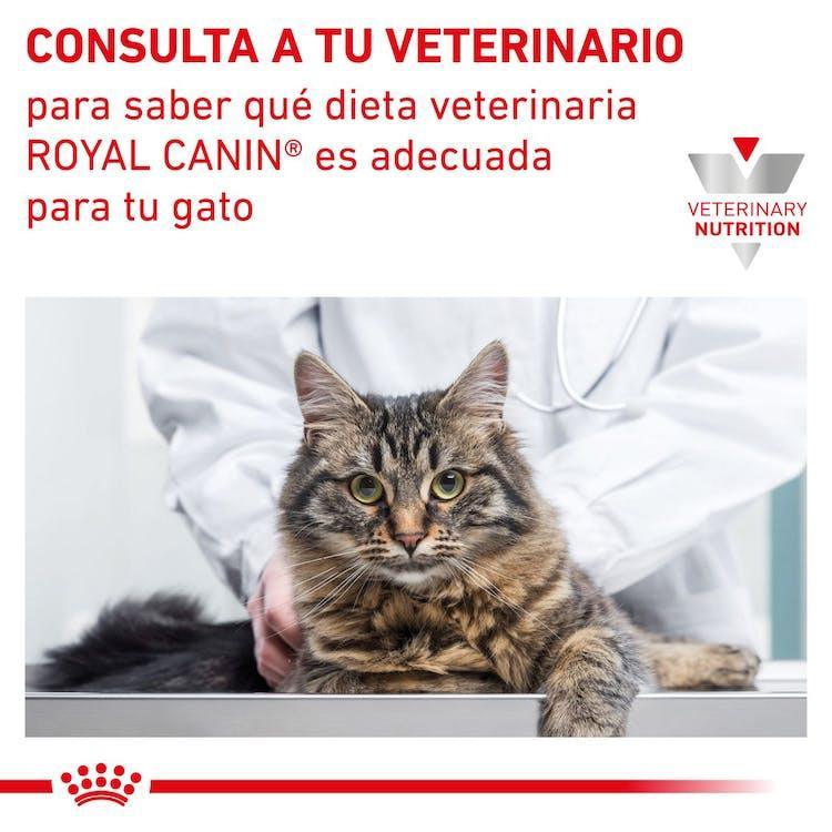 Royal Canin - Gatos Adultos - Cuidado Renal - Pollo - Pouch