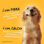 Pedigree - Perros Adultos Rodeo - Carne