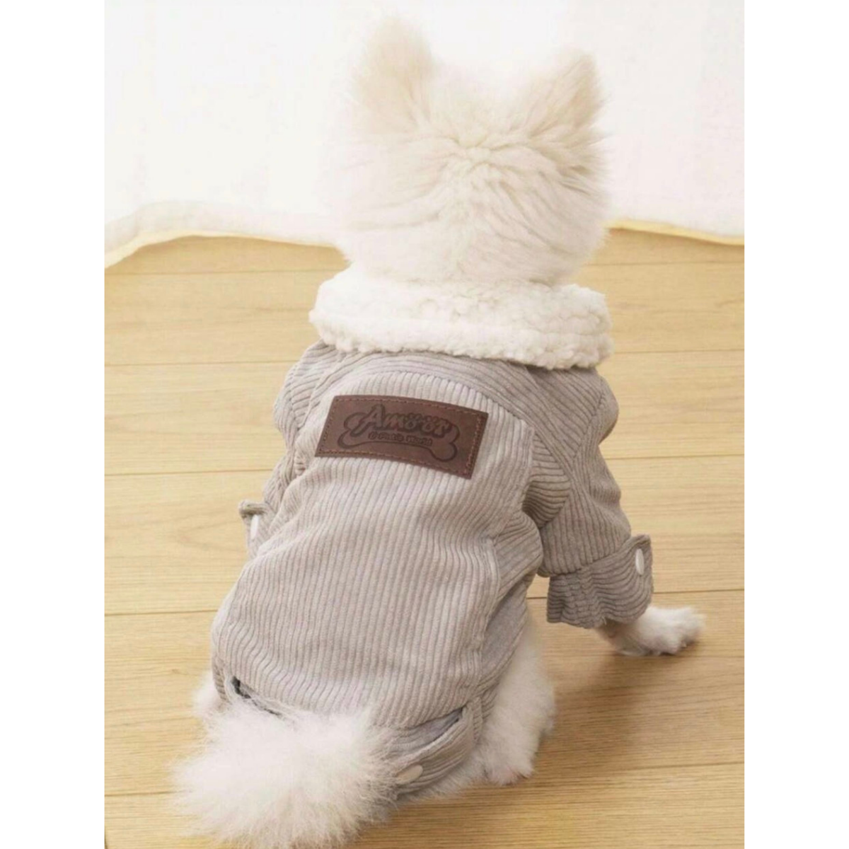 4Pets - Perros - Ropa Invernal Teddy