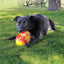 Kong - Perros Flexball Sport Football