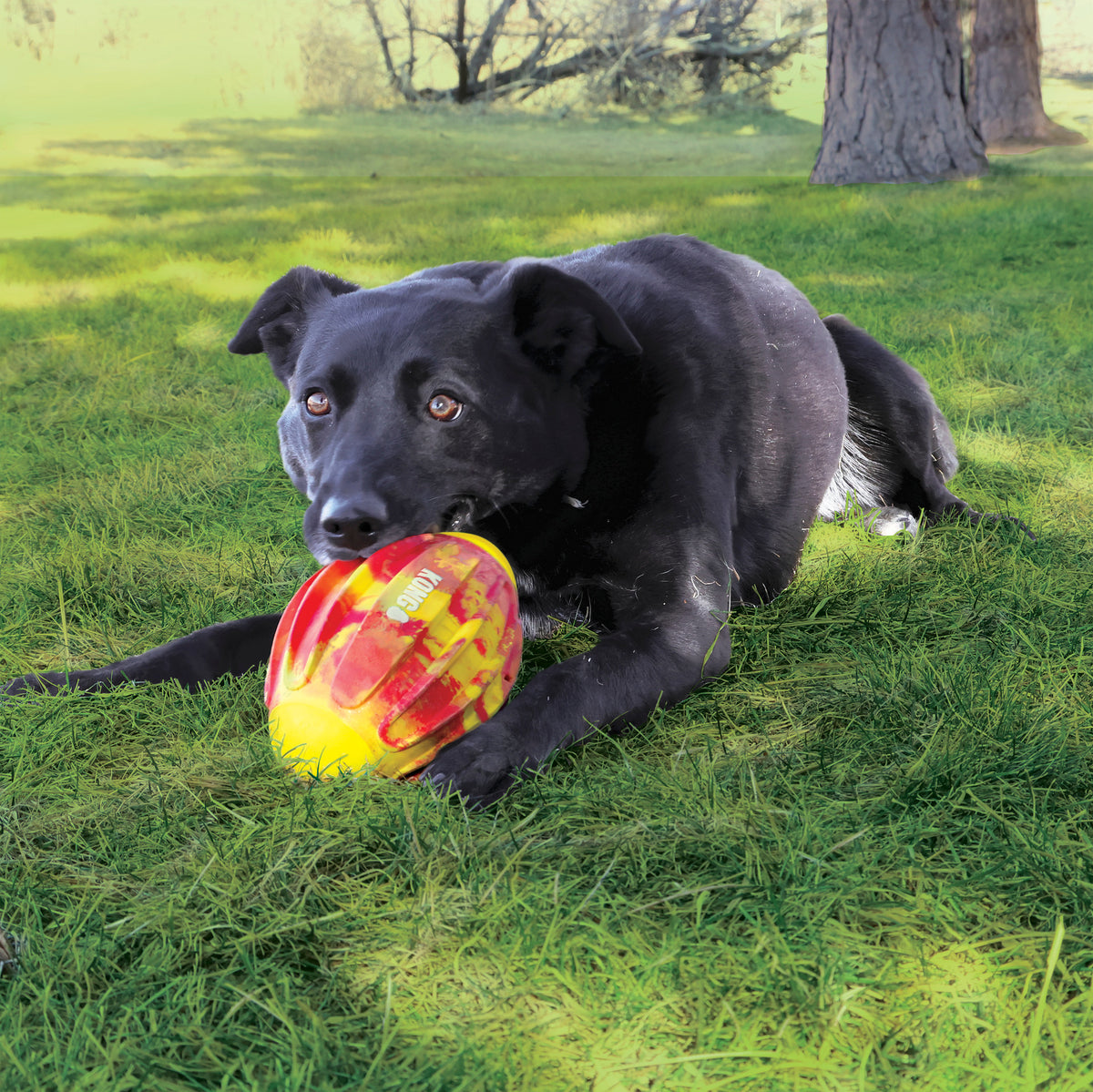 Kong - Perros Flexball Sport Football