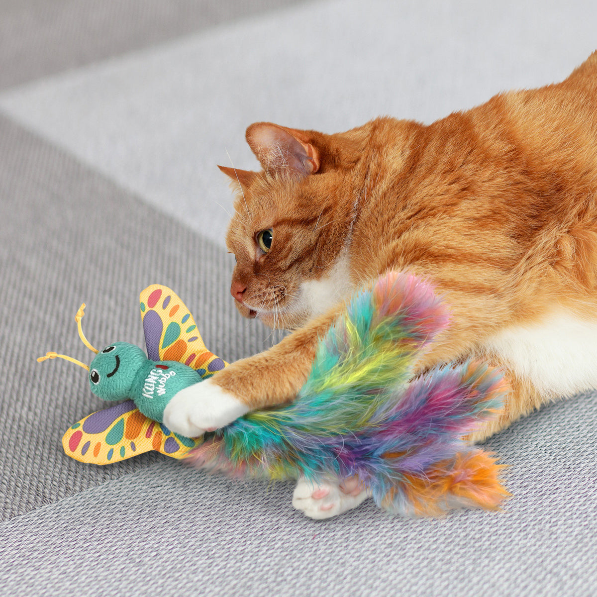 Kong - Gatos Wubba Mariposa