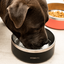 Hydrate - Bowl Beige - 946 ml