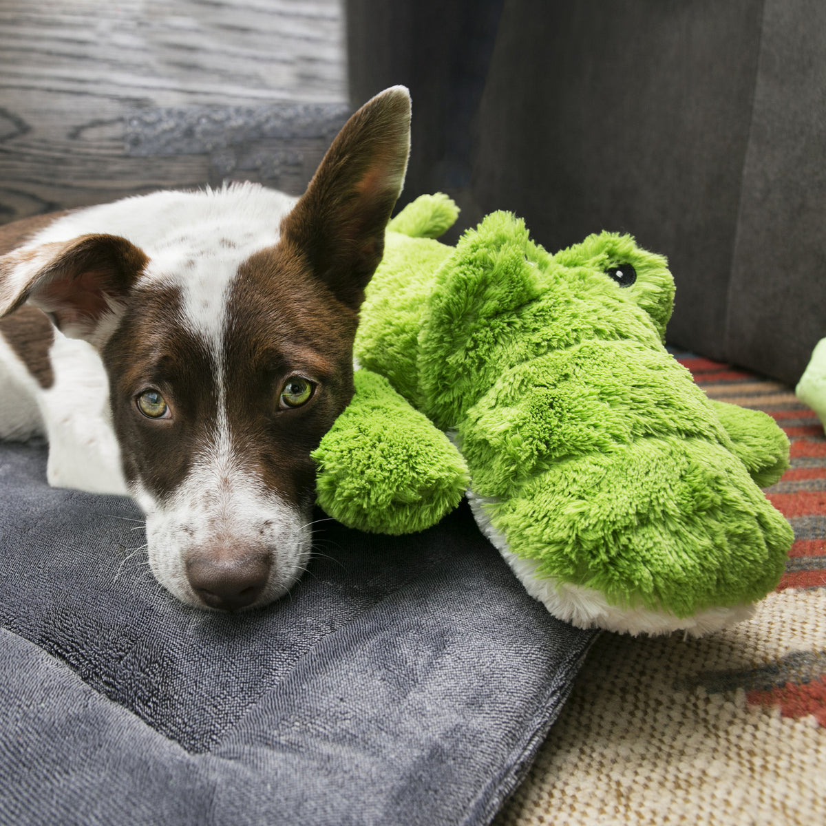 Kong - Perros Cozie Ali Aligator