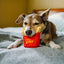 PLAY - Juguete Papas Fritas